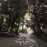 代々木八幡宮（アントワープブライダル）のチャペル・挙式会場の写真（1枚目）