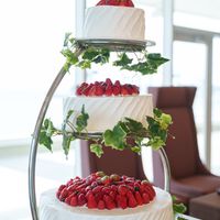 生ケーキ