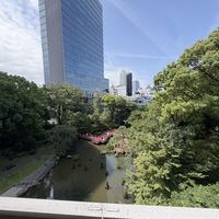 原宿とは思えないほど自然豊かな庭園