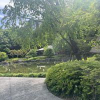 いろいろなところで写真が撮れます