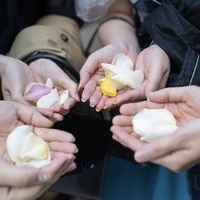 持ち込みのみは不可。
式場手配1セット+持込はできました！