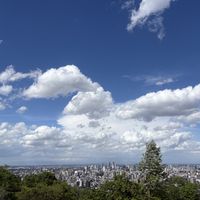 挙式会場からの景色