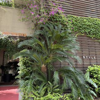 WITH THE STYLE FUKUOKA(ウィズ ザ スタイル フクオカ)のクチコミ 外観・ロビーの写真(1枚目)