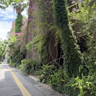 WITH THE STYLE FUKUOKA(ウィズ ザ スタイル フクオカ)のクチコミ 外観・ロビーの写真(2枚目)