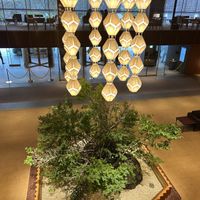 季節ごとに木が変わるそうです。