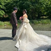 5月のお庭は緑が綺麗です