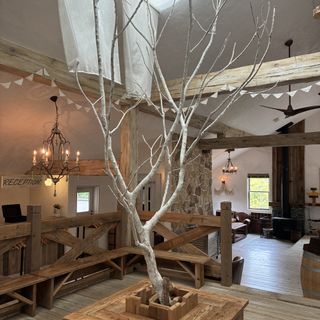 BARN&FOREST148〜バーン&フォレスト148〜のクチコミ 外観・ロビーの写真（1枚目）