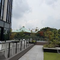 屋上