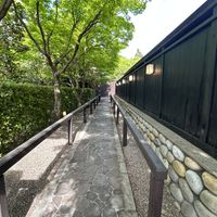 岐阜城が望めます