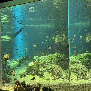 TABLE 9 TOKYO W (品川プリンスホテル内)のクチコミ チャペル・挙式会場の写真(1枚目)
