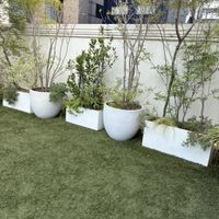 屋上ガーデンの植物