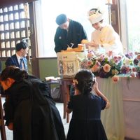 後ろからの光も綺麗