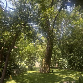 THE NANZAN HOUSE (ザ ナンザン ハウス)のクチコミ 庭・ガーデンの写真(1枚目)