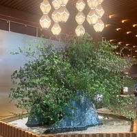 ロビーには季節に応じた装飾がされるようです。