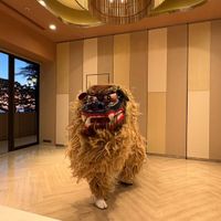 獅子舞演出