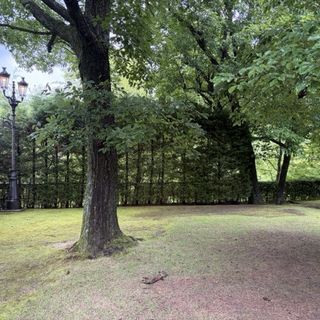 SHOZAN RESORT KYOTO(SHOZANリゾート京都)のクチコミ 庭・ガーデンの写真（2枚目）