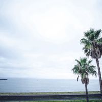 披露宴会場からの眺め