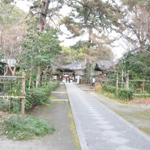 参道|85783さんの梨木神社の写真(38474)