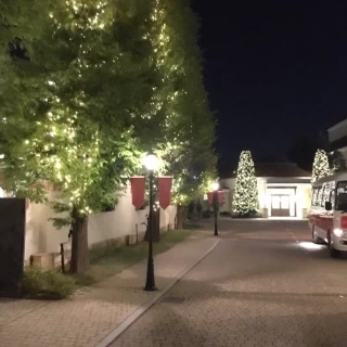 ライトアップがきれいです